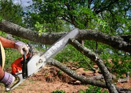 Best Leaf Removal  in Huntington, VA